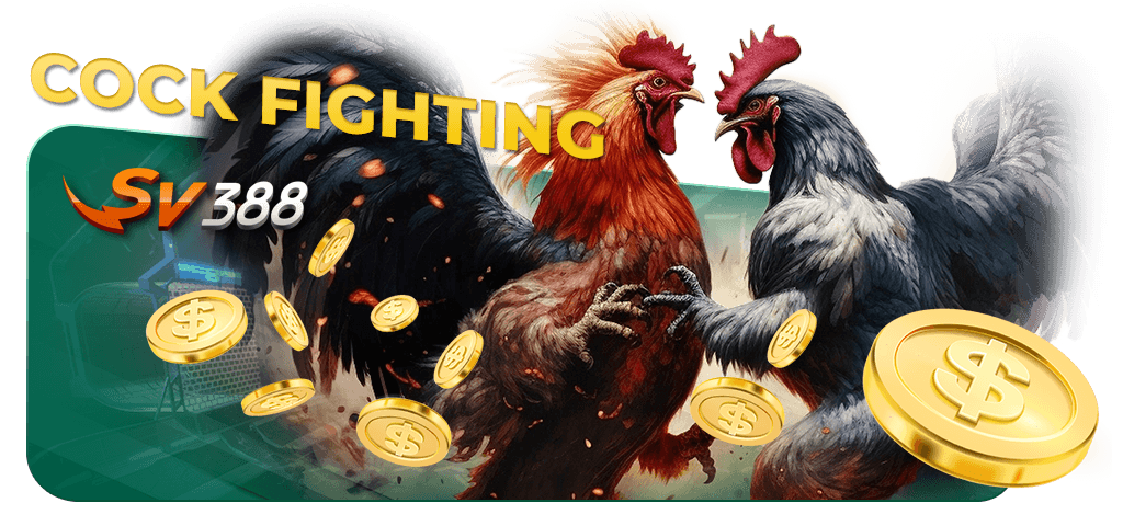 SV388 Cock Fighting – Bet on live cockfights with real-time action and fast payouts